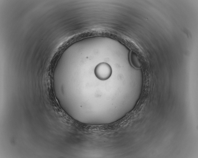 X0000112080776200908251103