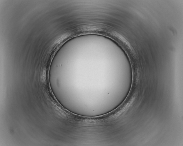 X0000112080777200908251103