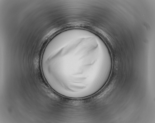 X0000112080778200908251103