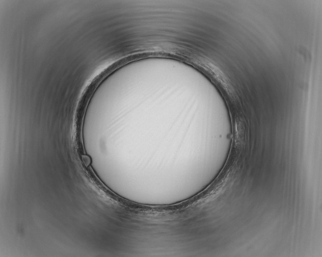 X0000112080780200908251103