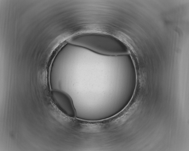 X0000112080781200908251103