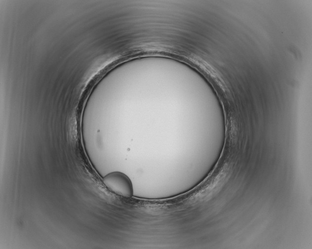 X0000112080782200908251103