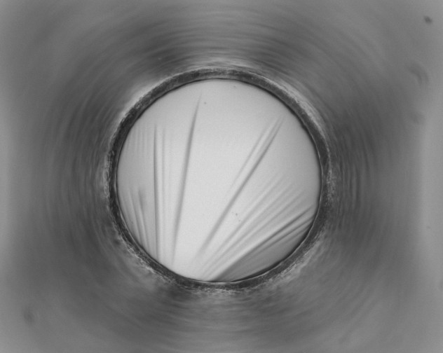 X0000112080783200908251103