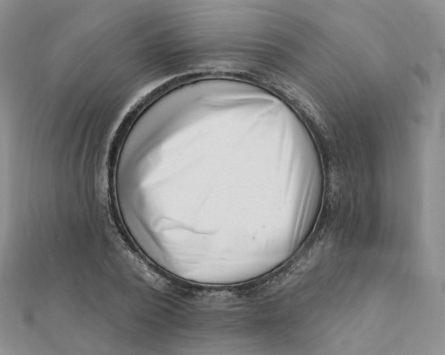 X0000112080784200908251103