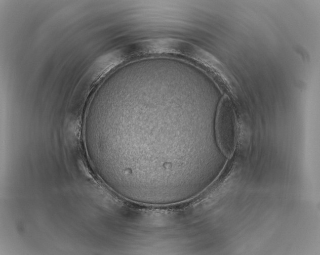 X0000112080785200908251103