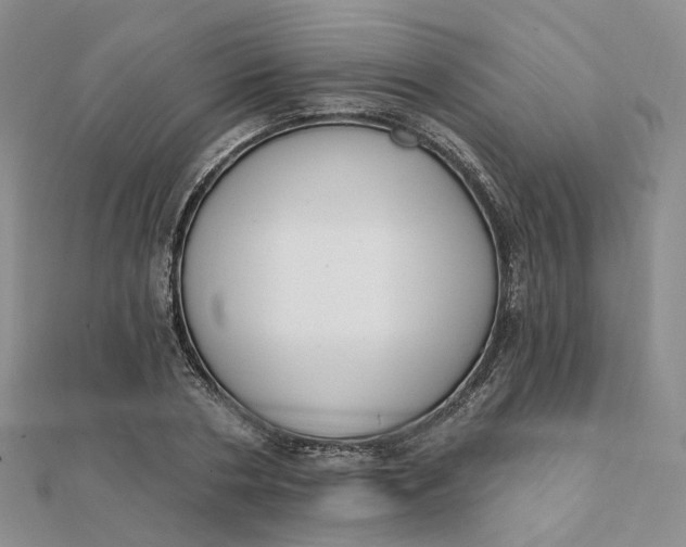 X0000112080786200908251103