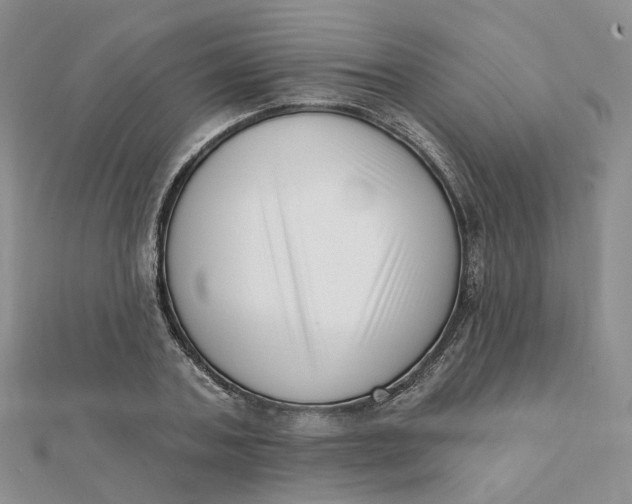 X0000112080787200908251103