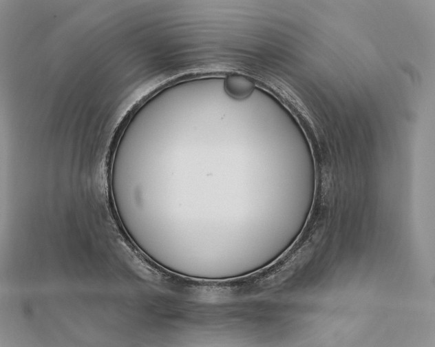 X0000112080789200908251103