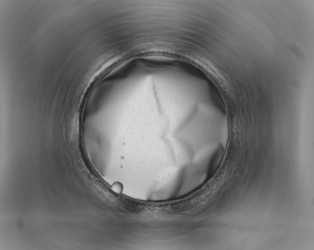 X0000112080790200908251103