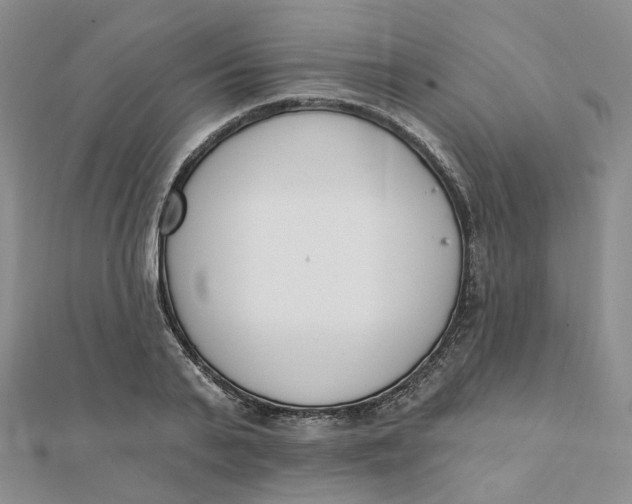 X0000112080791200908251103