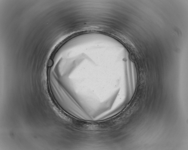 X0000112080792200908251103