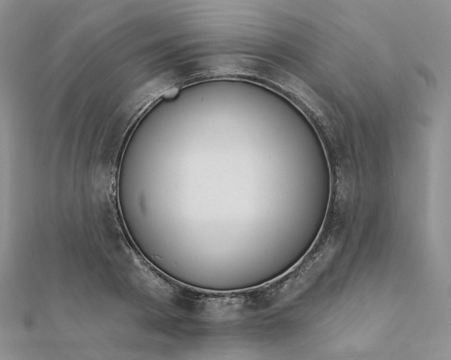 X0000112080793200908251103