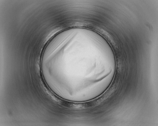 X0000112080794200908251103