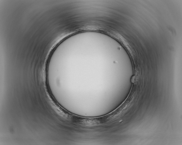 X0000112080795200908251103