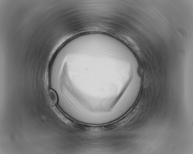 X0000112080796200908251103