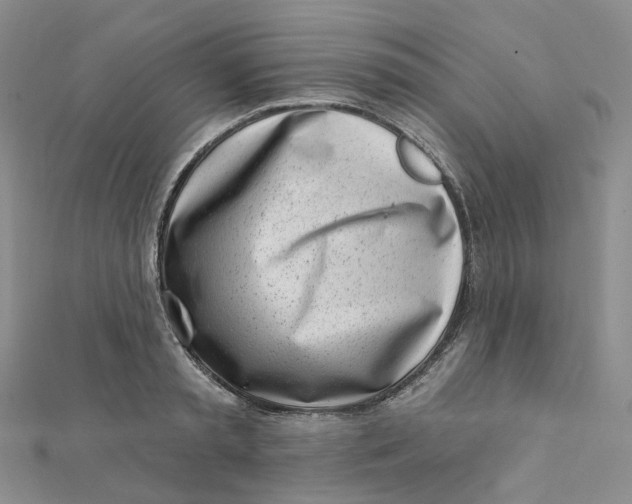 X0000112080797200908251103