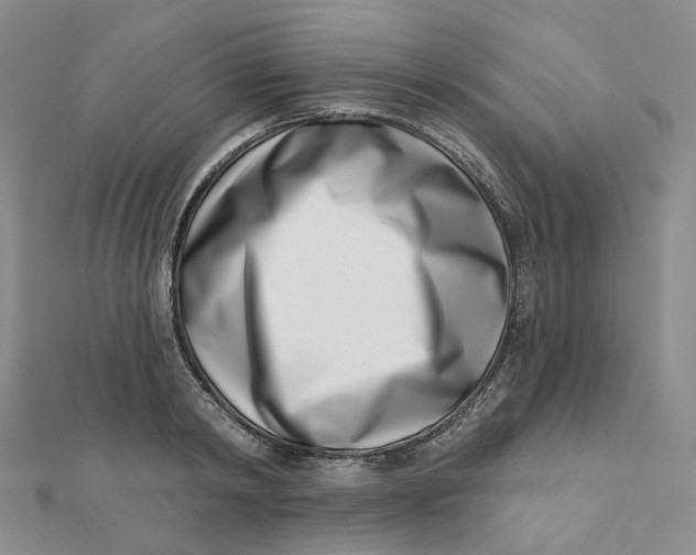 X0000112080798200908251103