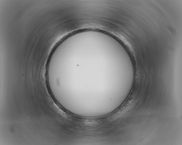 X0000112080799200908251103