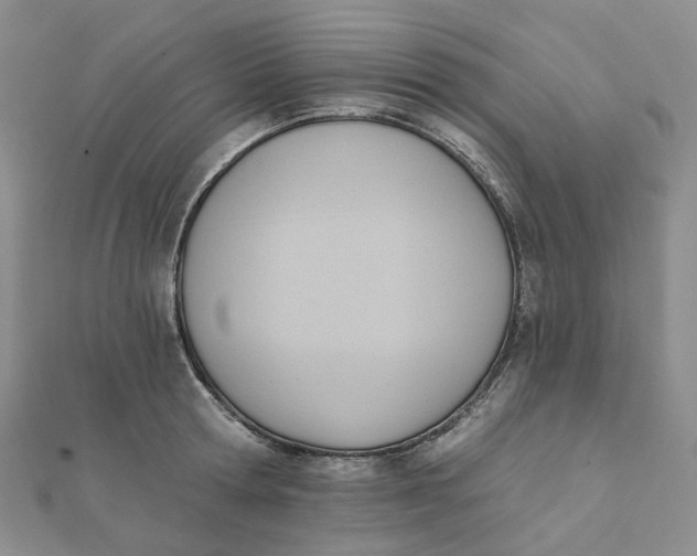 X0000112080802200908251103