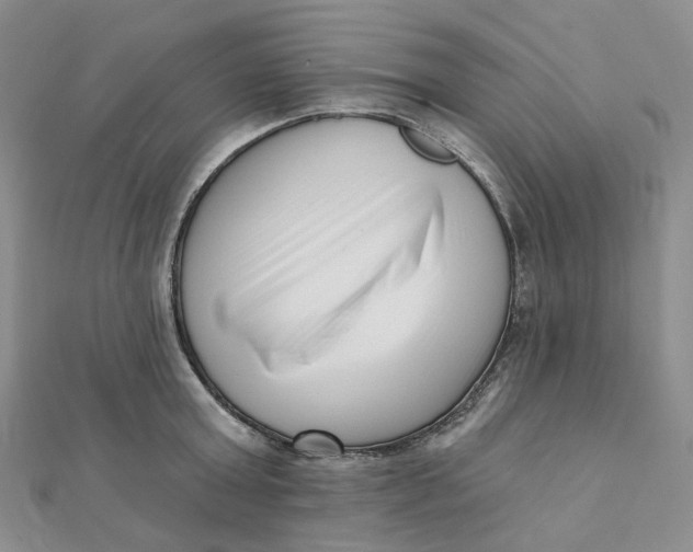 X0000112080803200908251103