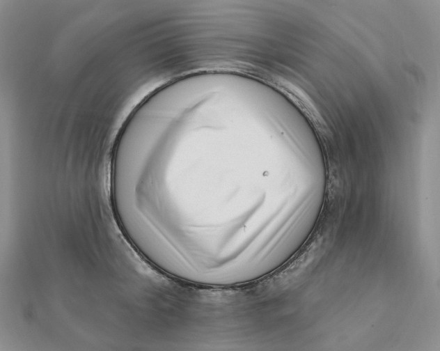 X0000112080804200908251103