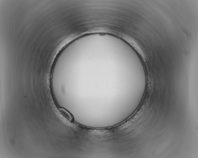 X0000112080805200908251103