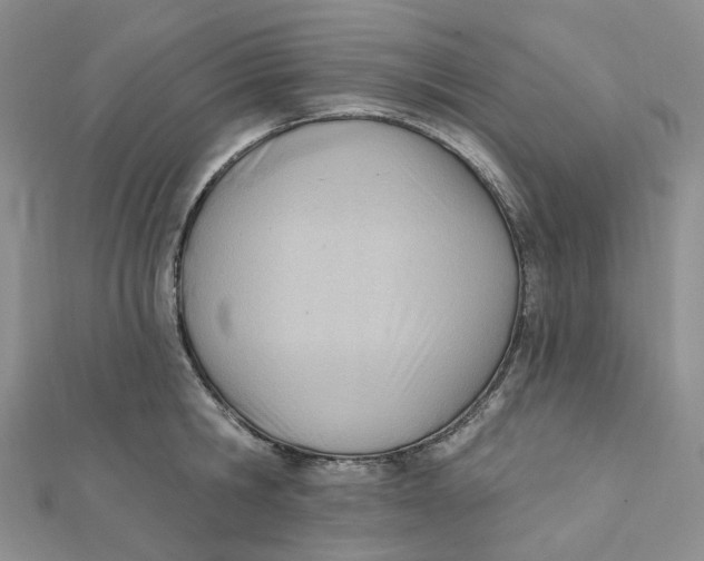 X0000112080806200908251103