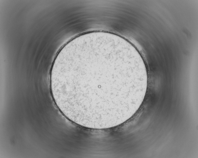 X0000112080807200908251103