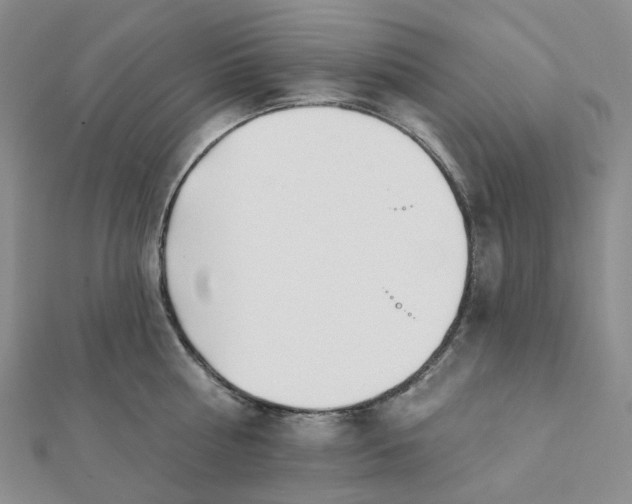 X0000112080810200908251103