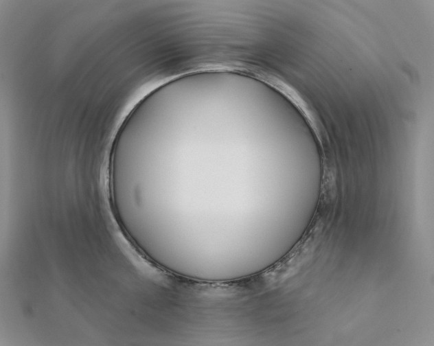 X0000112080811200908251103