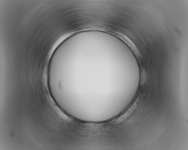 X0000112080812200908251103