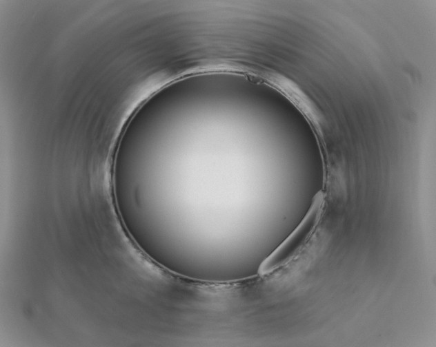 X0000112080813200908251103