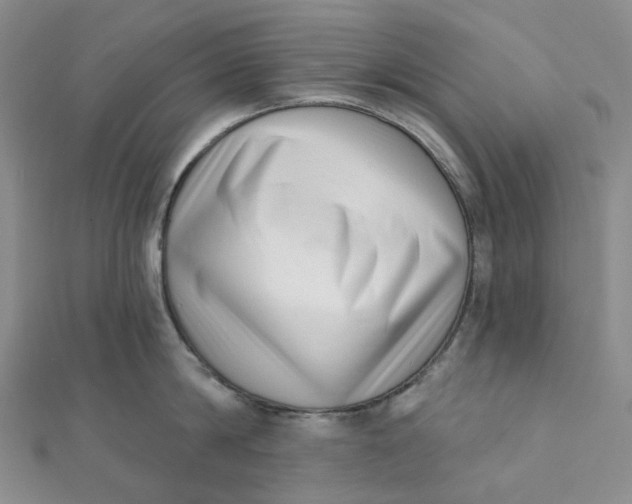 X0000112080814200908251103