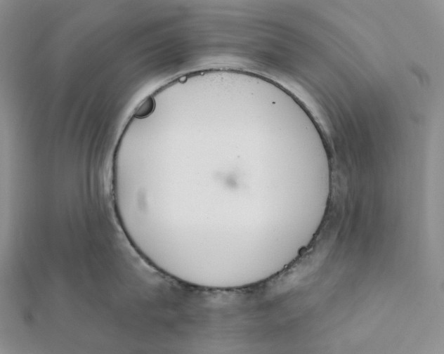 X0000112080815200908251103