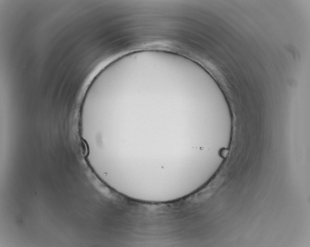 X0000112080816200908251103