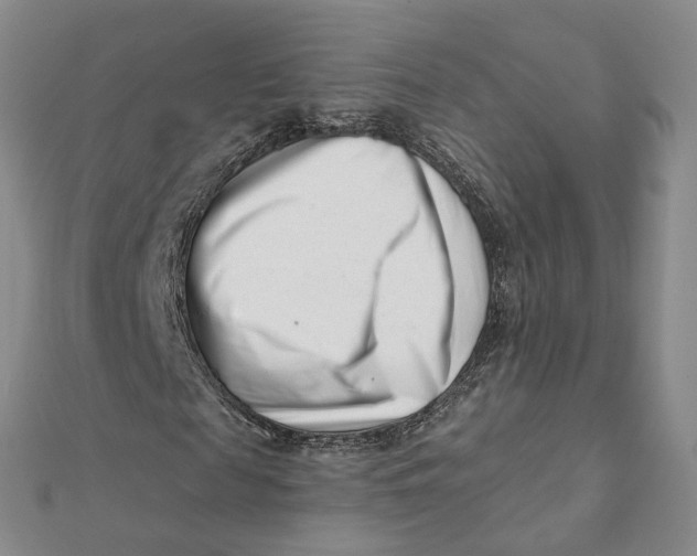 X0000112080817200908251102