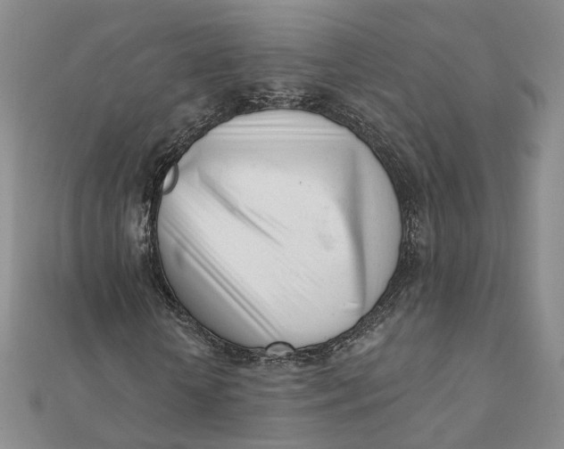 X0000112080818200908251102