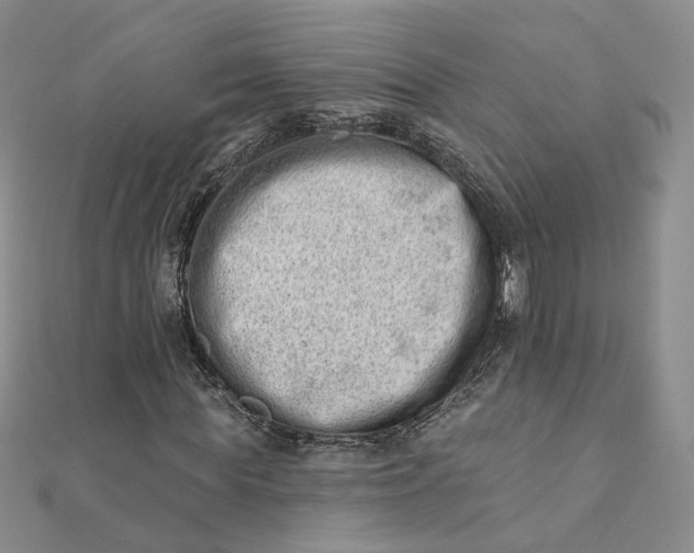 X0000112080819200908251102