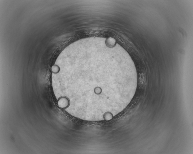 X0000112080820200908251102