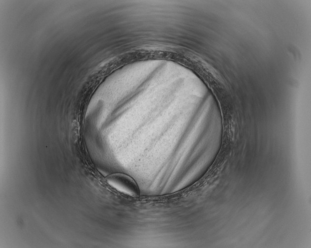 X0000112080821200908251102