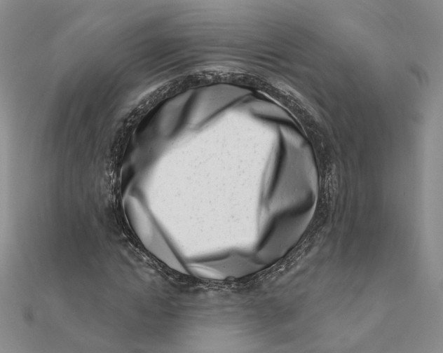 X0000112080822200908251102