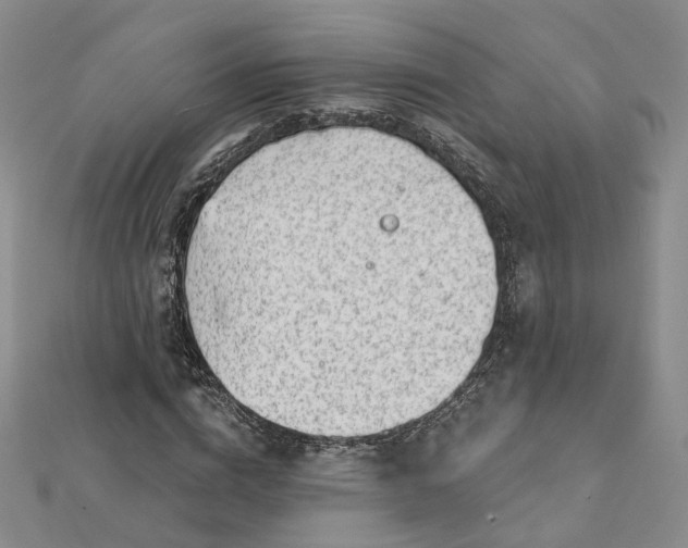 X0000112080824200908251102