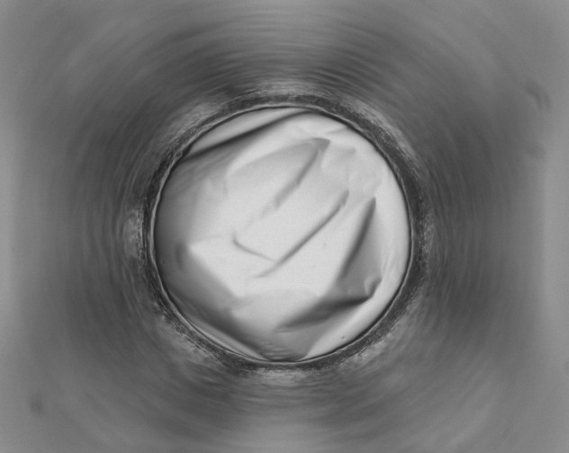 X0000112080825200908251102