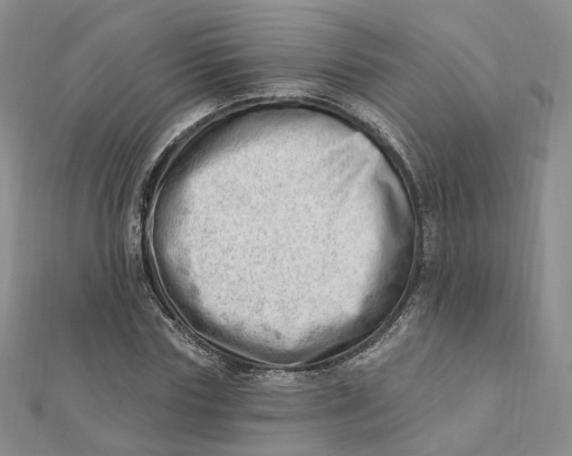 X0000112080827200908251102