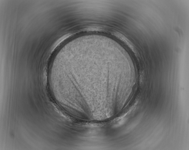 X0000112080829200908251102