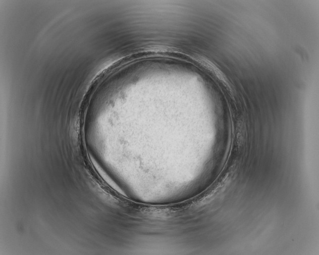 X0000112080831200908251102