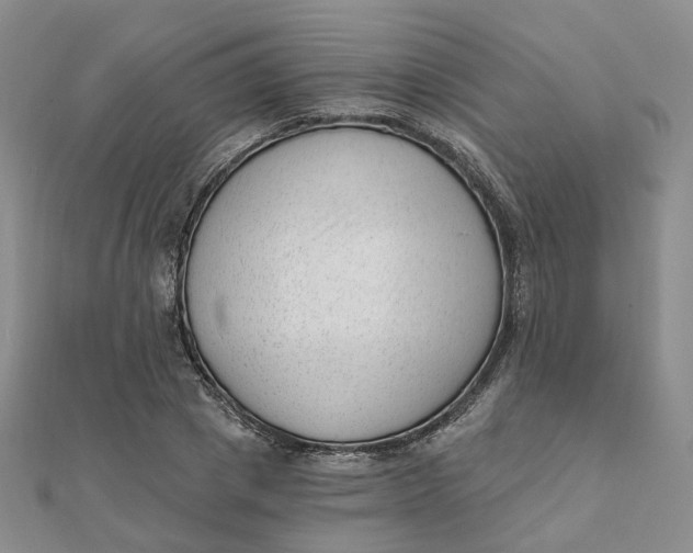 X0000112080833200908251103