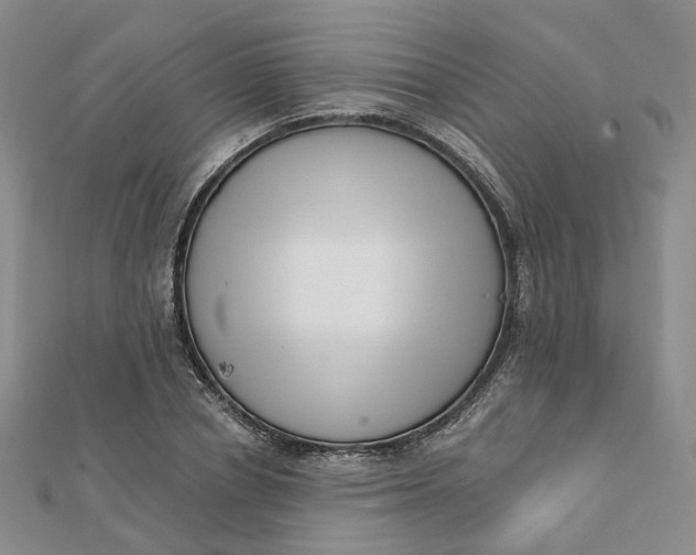 X0000112080834200908251103