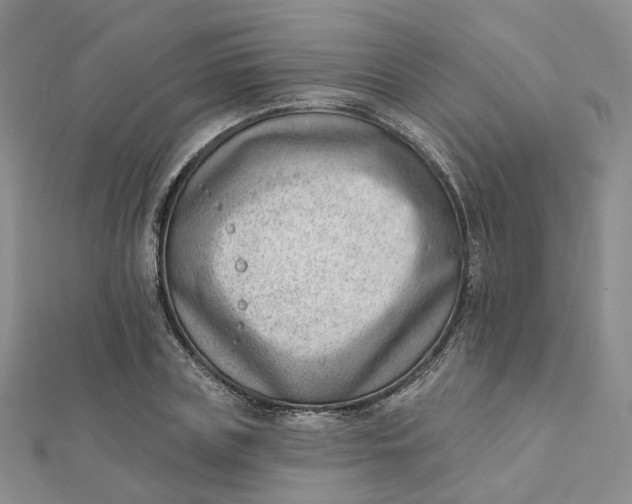 X0000112080835200908251103