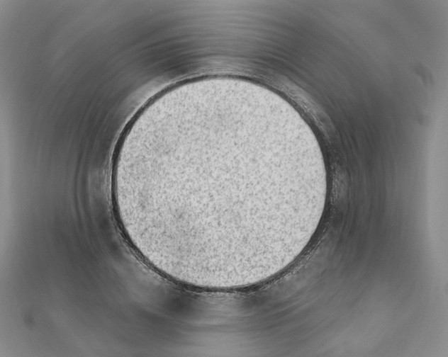 X0000112080836200908251103